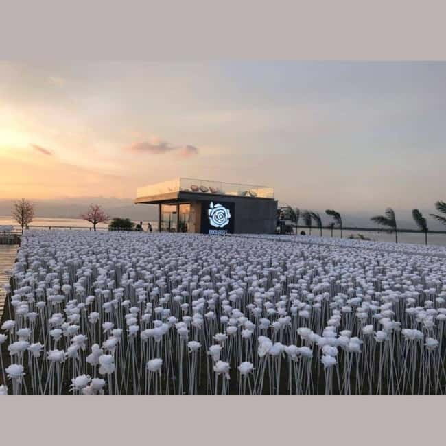 Cebu Panoramic Night Tour - Cebu Panoramic Night Tour: A Guide to Stunning Views and Authentic Experiences