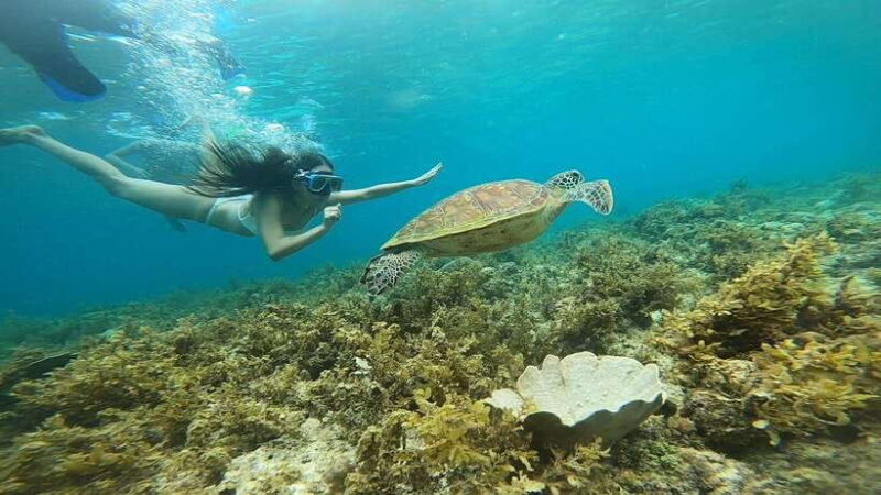 Cebu: Pescador Island, Sardines run and Kawasan Canyoneering - Final Thoughts: Who Is It Best For?