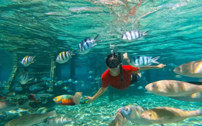 Cebu: Private Mactan Island Hopping Tour with Lunch - The Itinerary: A Closer Look at the Islands