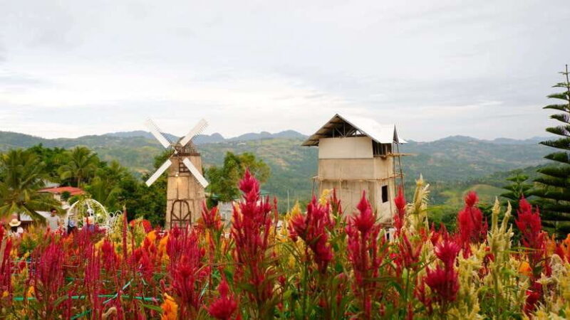 Cebu: Private Panoramic Tour with Dinner - Key Points