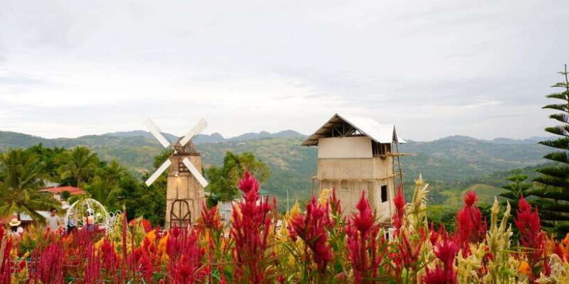 Cebu: Private Panoramic Tour with Dinner - The Sum Up