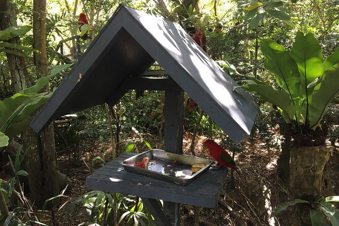 Cebu Safari and Adventure Park - A Closer Look at the Cebu Safari and Adventure Park Experience