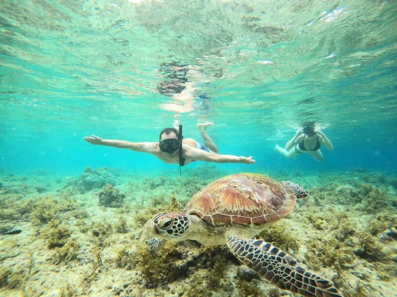 Cebu: Sardine Run Snorkeling, Mantayupan Falls & ATV Thrills - Key Points