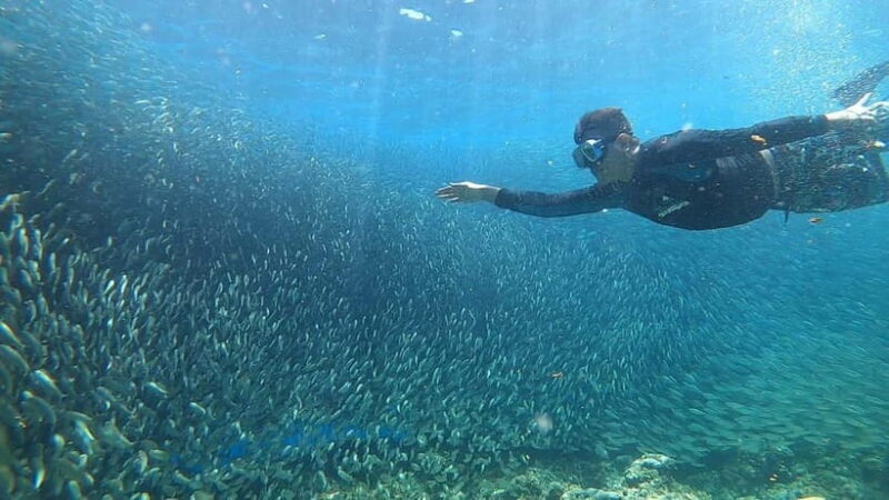 Cebu: Sardine Run Snorkeling, Mantayupan Falls & ATV Thrills - Who Will Love This Tour?