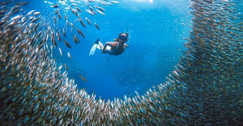 Cebu: Sardine Run Snorkeling, Mantayupan Falls & ATV Thrills - Final Thoughts: Is It Worth It?