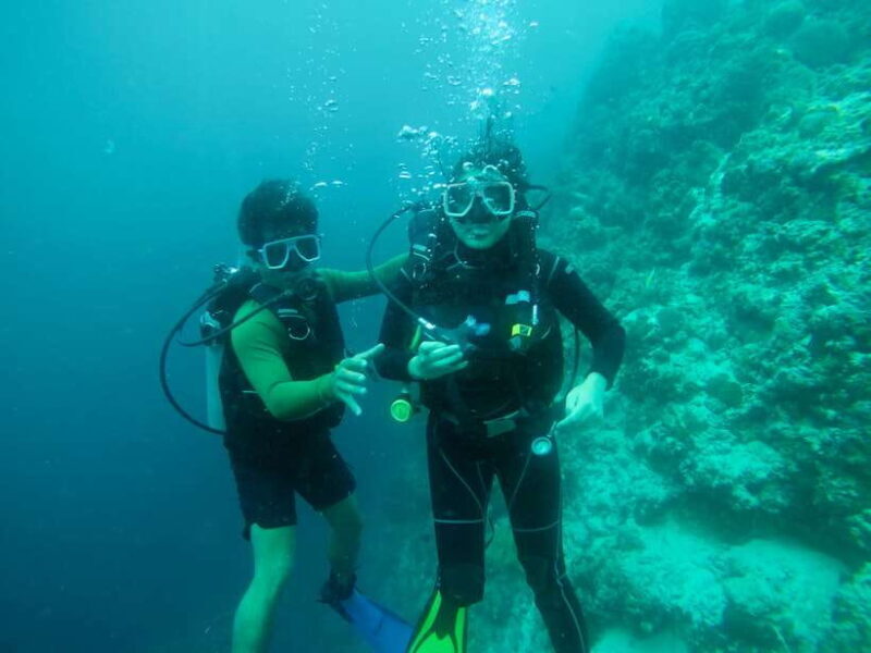Cebu: Scuba Diving with Sardines and Pescador Island Snorkel - Key Points