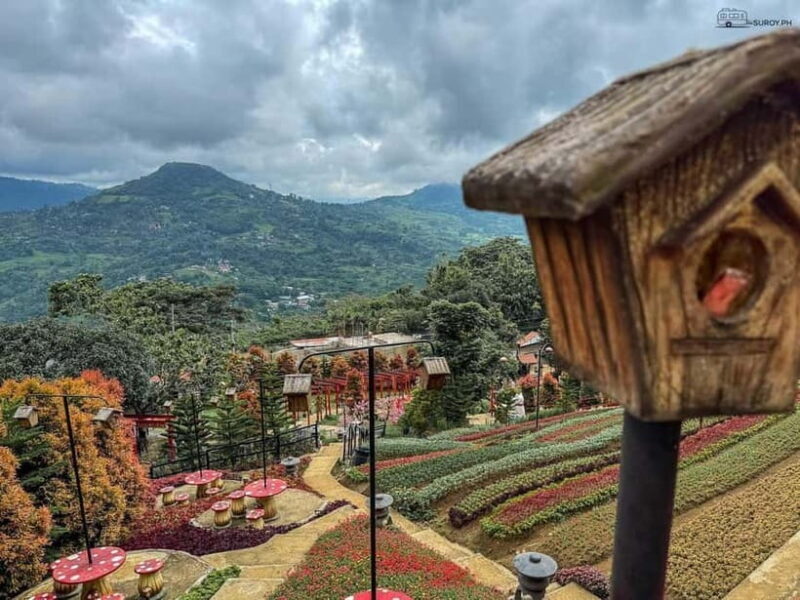 Cebu: Simala Shrine and City Tour Package A - Who Should Consider This Tour?