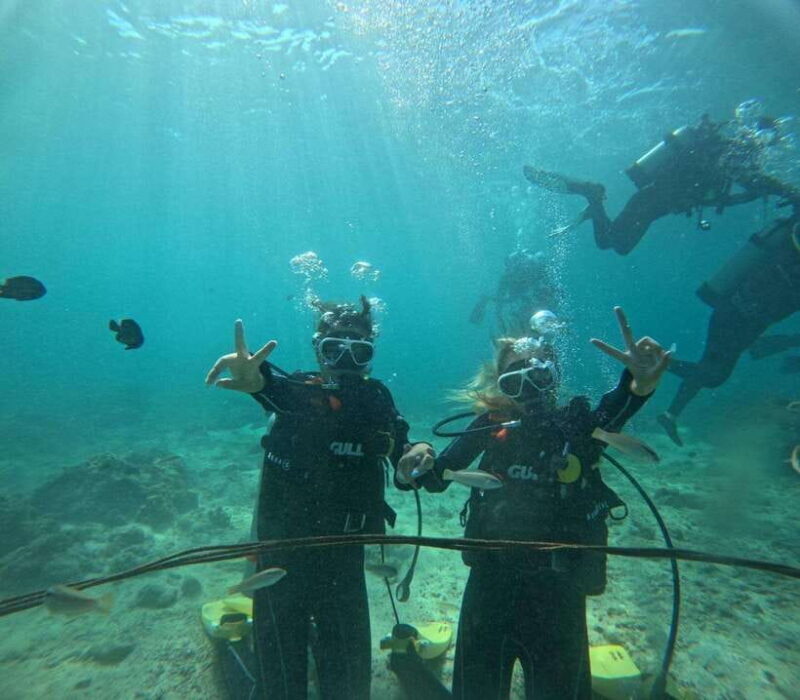 Cebu: snorkeling +3 Water activity tour - Key Points