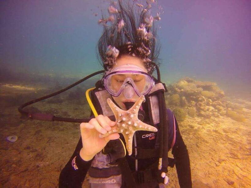 CEBU: Try diving & souvenir underwater photo - Exploring the Cebu Underwater Experience