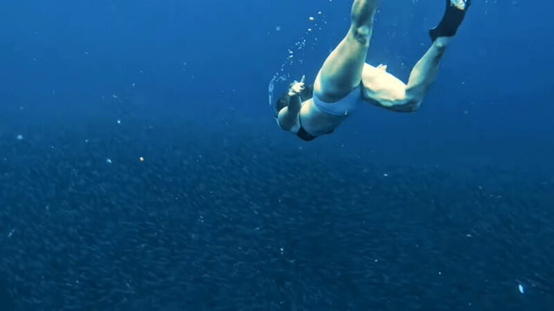 Cebu Ultimate Adventure: Oslob, Inambakan Falls & Moalboal - Final Thoughts