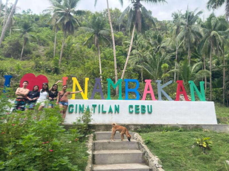Cebu: Whale Shark, Inambakan Falls & Moalboal Sardine Tour - Key Points