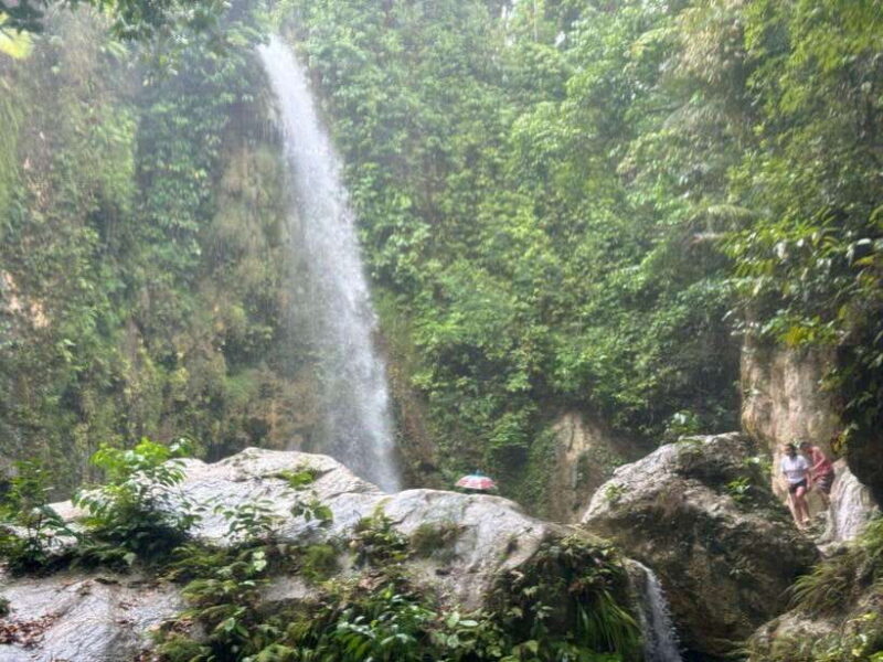 Cebu: Whale Shark, Inambakan Falls & Moalboal Sardine Tour - A Detailed Look at the Cebu: Whale Shark, Inambakan Falls & Moalboal Sardine Tour