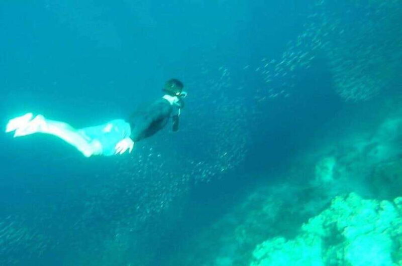 Cebu: Whale Shark, Inambakan Falls & Moalboal Sardine Tour - FAQ
