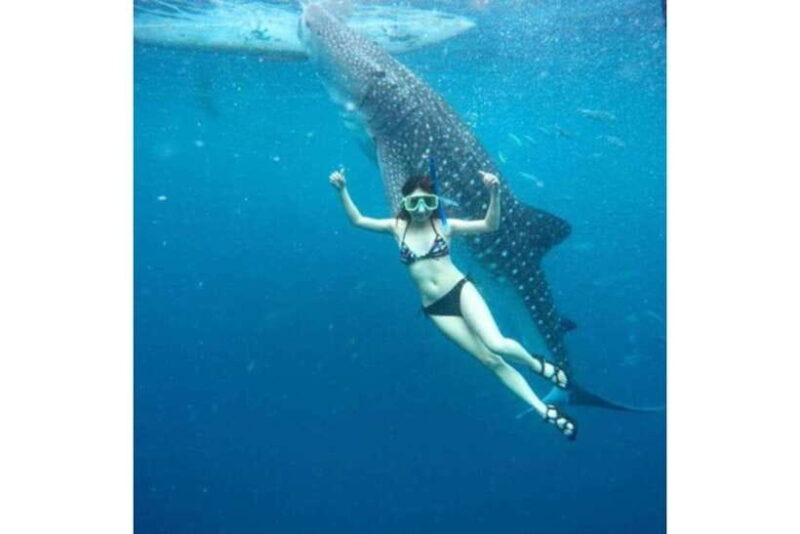 Cebu: Whale Shark Swim and Kawasan Canyoneering Group Tour - Final Thoughts: Is This Tour for You?