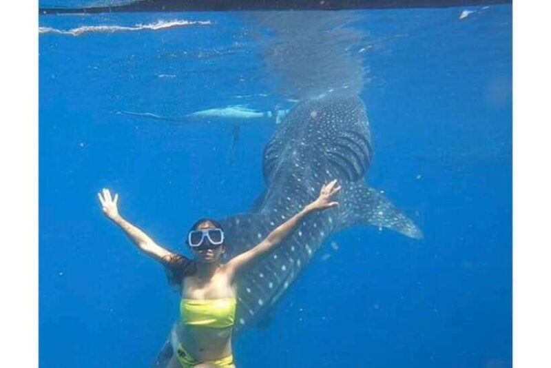 Cebu: Whale Shark Swim and Kawasan Canyoneering Group Tour - FAQ