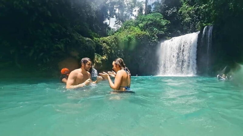 Cebu: Whale Shark Swim and Kawasan Canyoneering Tour - The Sum Up