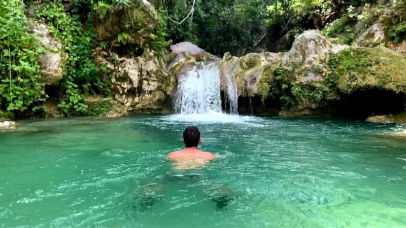 Cebu: Whale Shark Swimming & Inambakan Falls Adventure - An In-depth Look at the Tour Experience