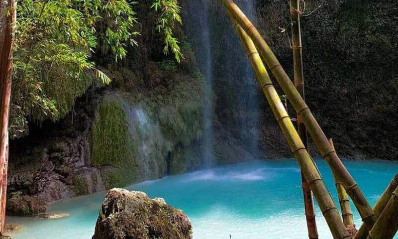 Cebu: Whale Shark, Tumalog, Sumilon, and Moalboal Tour - The Bottom Line