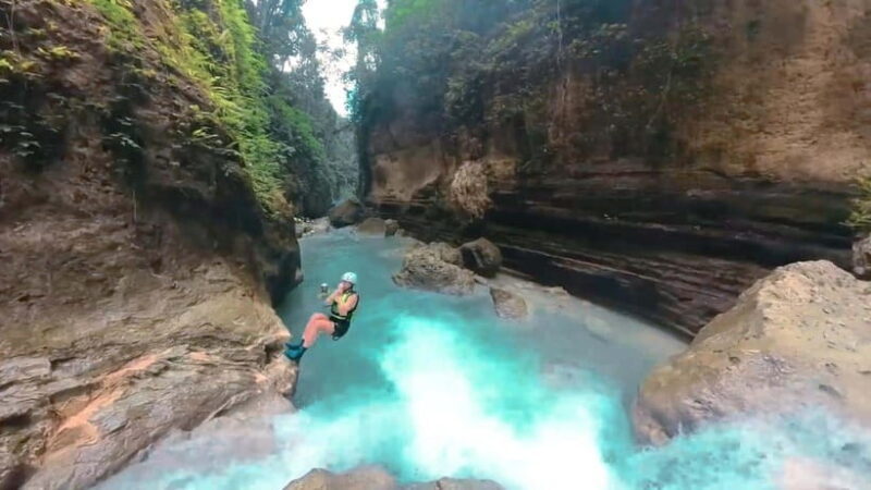 Cebu: Whale Shark Watching and Canyoneering Group Tour - A thorough look at what this tour offers