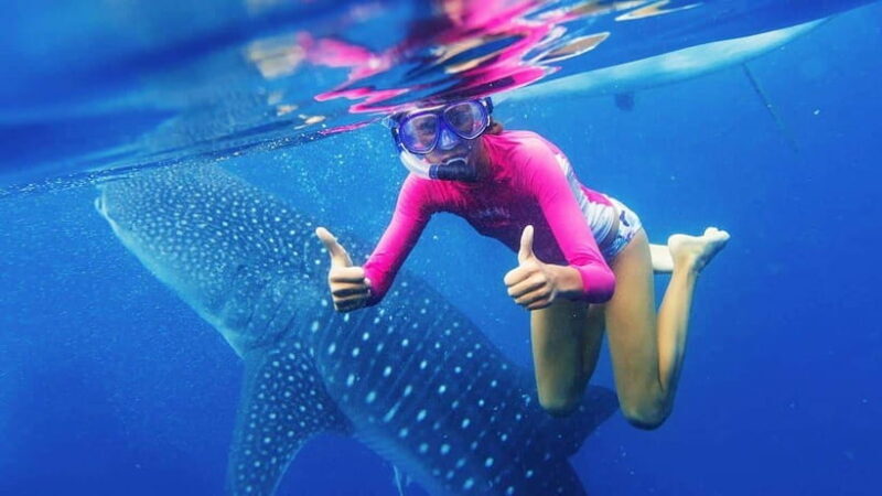 Cebu: Whale Shark Watching and Canyoneering Group Tour - FAQ