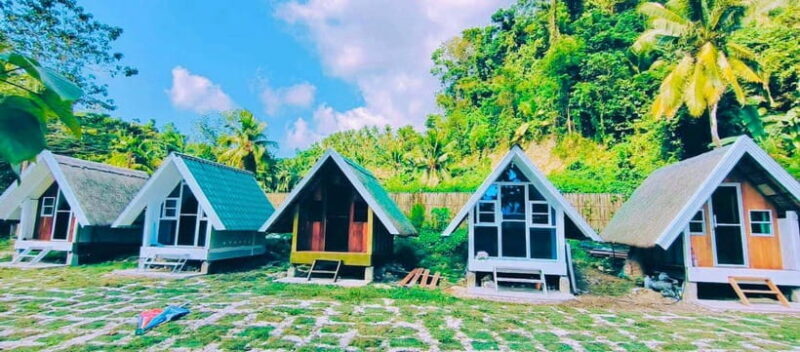 Cebu: Whale Shark Watching, Simala Church & Ka Treasure Tour - Transportation, Timing, and Group Size