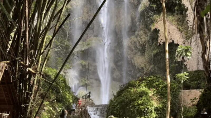 Cebu: Whale Shark Watching, Tumalog Falls & Sumilon Island - FAQs