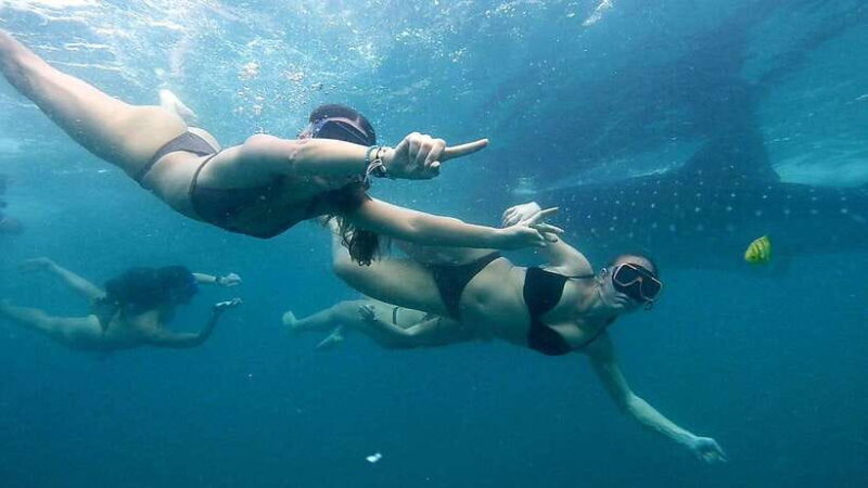 Cebu: Whale Sharks, Ka-Treasure Water Terraces & Simala Tour - Balancing the Experience: Pros and Cons