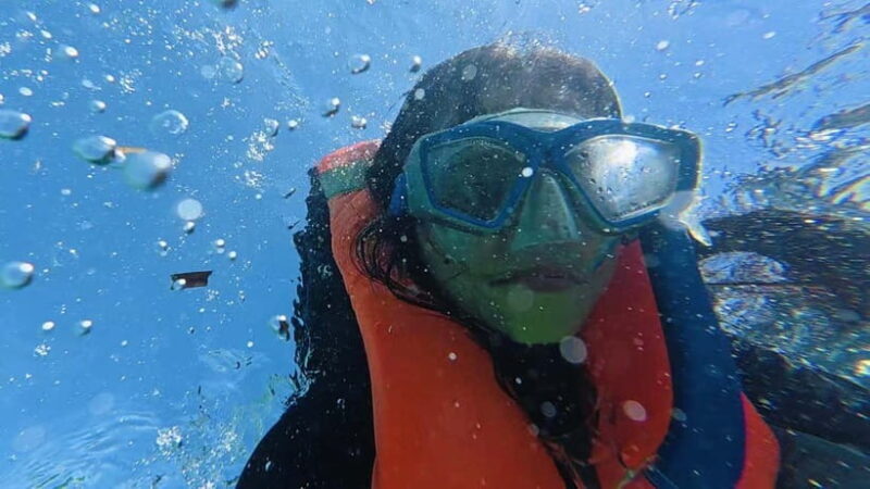 Cebu: Whale Sharks, Kawasan Falls, & Sardines Run Snorkeling - Authenticity and Experience: What Travelers Say