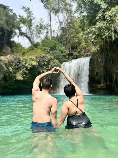 Cebu: Whale Sharks, Kawasan Falls, & Sardines Run Snorkeling - The Sum Up