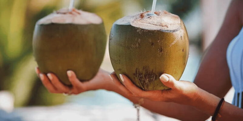 Cebu: Whale Sharks, Tumalog Falls, and Monkey Sanctuary Tour - Value and Practical Considerations