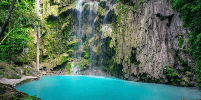 Cebu: Whale Sharks, Tumalog Falls, and Monkey Sanctuary Tour - FAQ