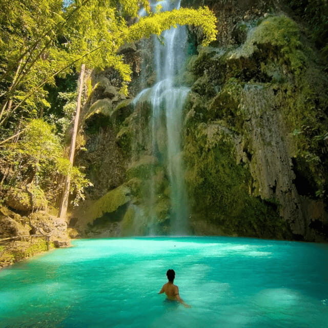 Cebu Whale Sharks Tumalog Falls Sumilon - Practical Details: What to Know Before You Book