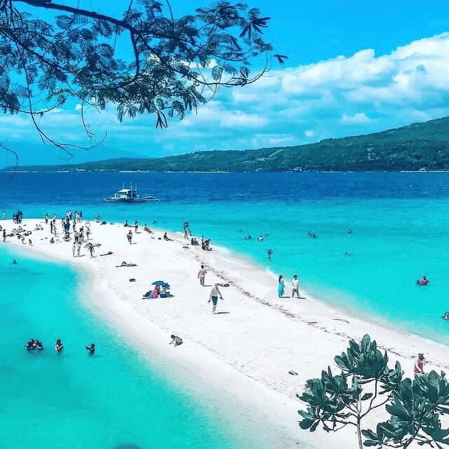 Cebu Whale Sharks Tumalog Falls Sumilon - The Sum Up