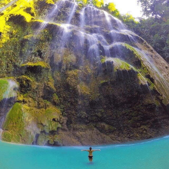 Cebu Whale Sharks Tumalog Falls Sumilon - Frequently Asked Questions