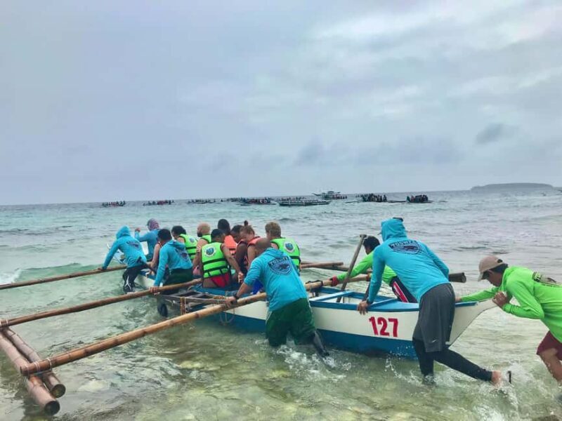 Cebu: Whaleshark Experince, Waterfalls & White Sand Wonders - Swimming with the Whale Sharks in Oslob