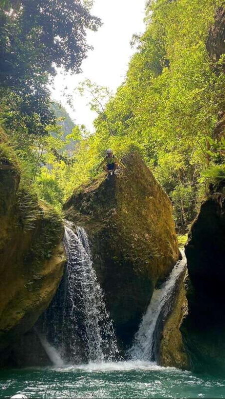 Cebu: Whaleshark Swimming & Kawasan falls Canyoneering Tour - Frequently Asked Questions
