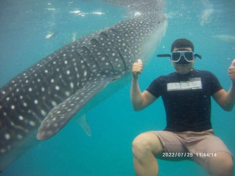 Cebu: WhaleShark , Tumalog Falls, & Sardine Run Snorkeling - Authentic Experiences & What Sets This Tour Apart