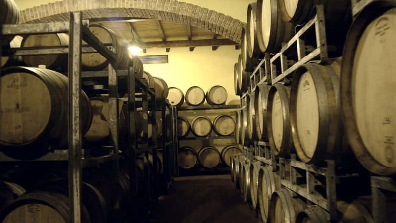 Cefalù: Half-Day Wine Tasting Tour in Castelbuono - An In-Depth Look at the Experience