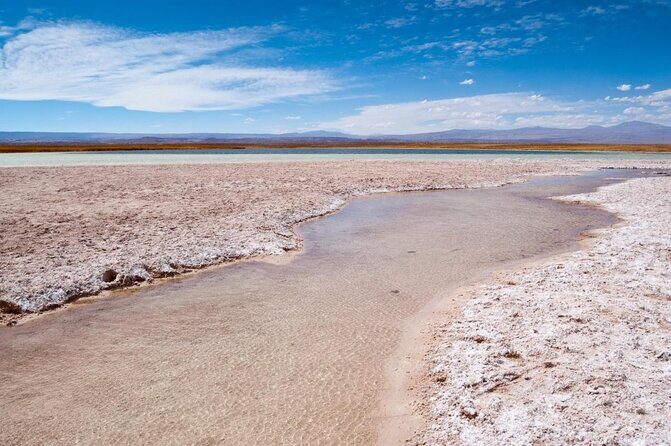 Cejar Lagoon and Ojos del Salar with Tebinquiche Tour - Key Points