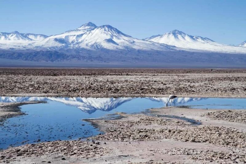 Cejar Lagoon, Eyes of the Salt Flat and Tebinquinche Lagoon - Who Will Love This Tour?