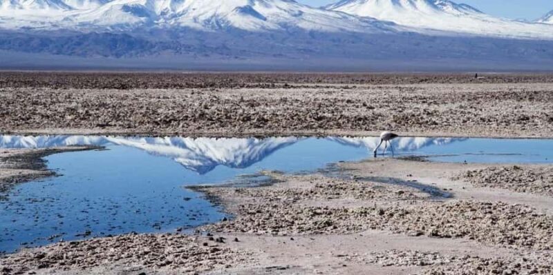 CEJAR LAGOON, SALT FLAT EYES AND TEBINQUINCHE LAGOON - Key Points
