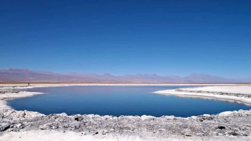 Cejar Lagoon, Tebenquiche Lagoon and Ojos del Salar - A Deep Dive into the Salt Flats and Saline Lagoons of Northern Chile