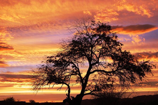 Cejar Lagoon, Tebinquiche Tour and Ojos del Salar from San Pedro de Atacama - A Detailed Look at the Tour Experience