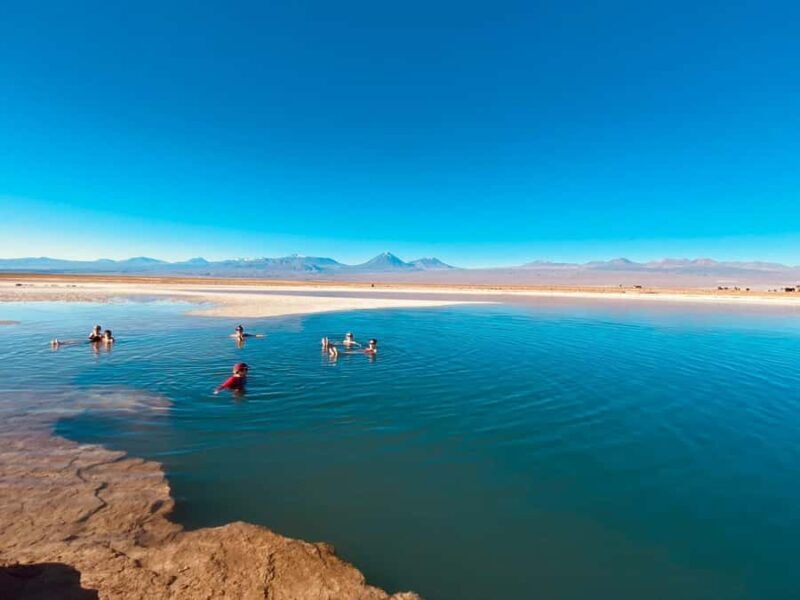 Cejar Lagoon Tour: San Pedro de Atacama - Key Points