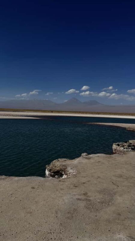 Cejar & Tebenquiche Lagoons Tour with Ojos del Salar Atacama - An In-Depth Look at the Cejar & Tebenquiche Lagoons Tour