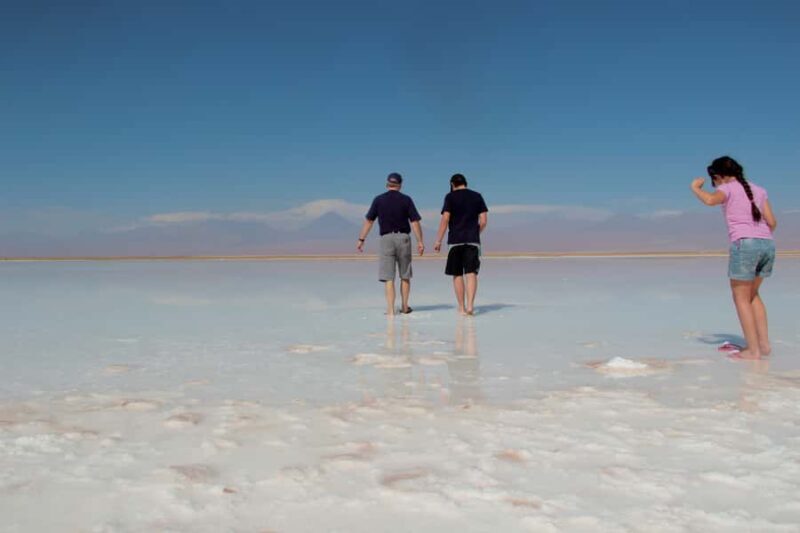 Cejar & Tebenquiche Lagoons Tour with Ojos del Salar Atacama - Who Should Consider This Tour?
