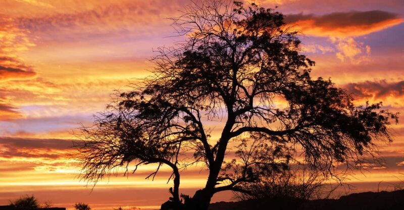 Cejar & Tebenquiche Lagoons Tour with Ojos del Salar Atacama - FAQs