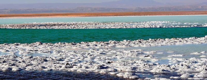 Cejar & Tebenquiche Lagoons Tour with Ojos del Salar Atacama - Practical Details and What You Should Know