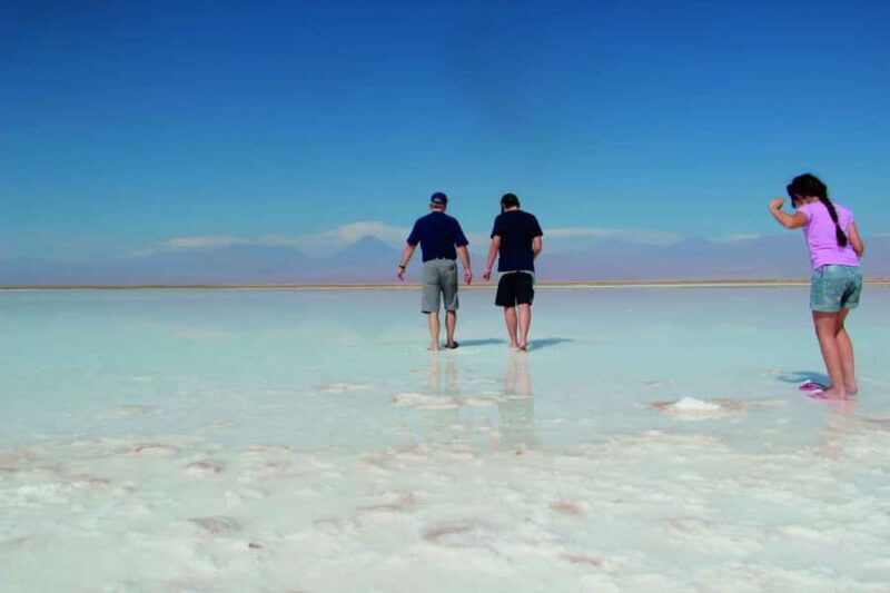 Cejar & Tebenquiche Lagoons Tour with Ojos del Salar Atacama - Who Should Book This Tour?