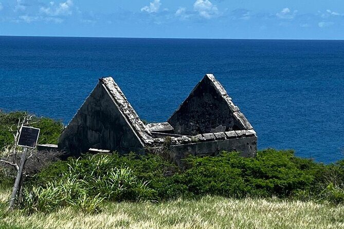 Celeb Island Adventure Tour - In-Depth Review of the Celeb Island Adventure Tour